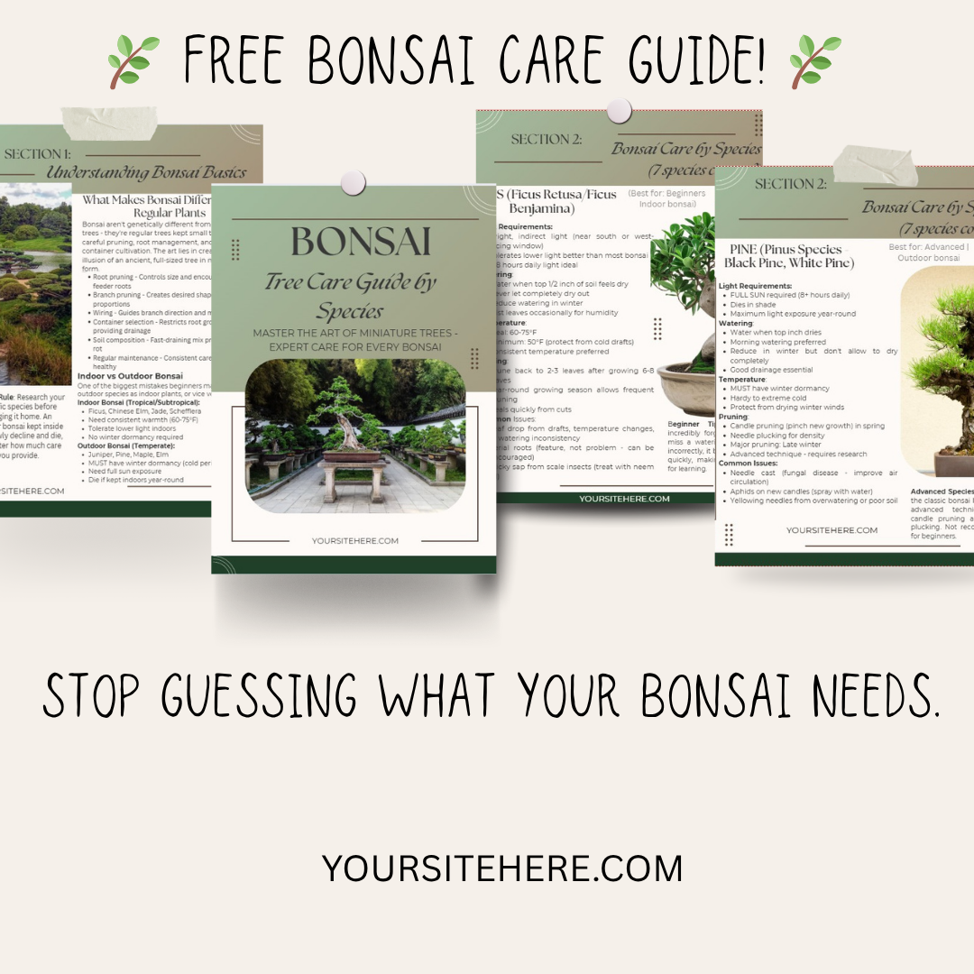 FREE Bonsai Care Guide